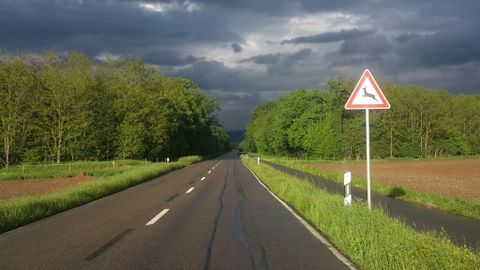 Eine Straße in der Dämmerung mit einem Verkehrsschild, das auf den Wildwechsel hinweist.