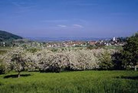 Blick auf Steißlingen