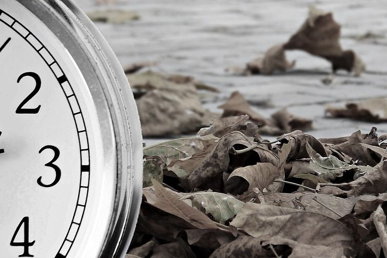 Bild zur Uhrumstellung mit Herbstlaub