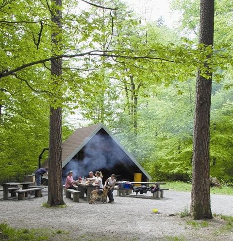 Die Fronholzhütte bietet Grillvergnügen mitten im Wald.